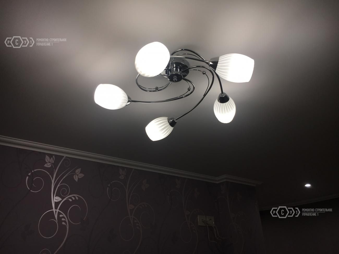 project small image