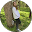 Apps ID review person photo